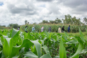How farm in Yatta is adapting to climate change through water conservation