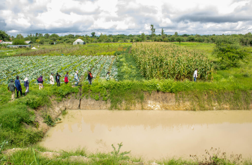 How farm in Yatta is adapting to climate change through water conservation