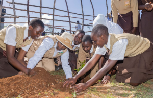 Read more about the article MaMa Doing Good partners with The Nature Conservancy to plant one million trees
