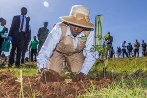 MaMa Doing Good partners with The Nature Conservancy to plant one million trees