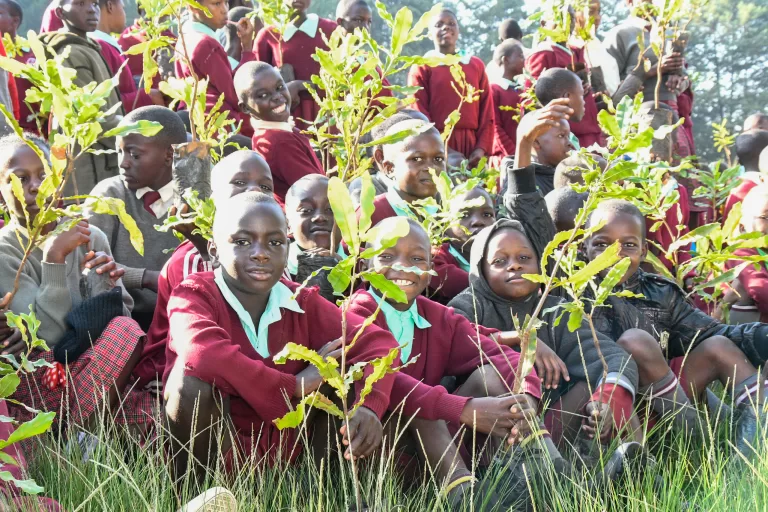 Read more about the article 10,000 Trees Planted in Nandi County as Part of National Tree Planting Initiative