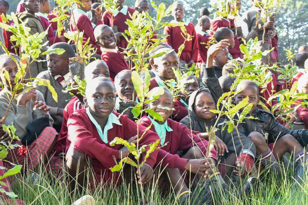You are currently viewing 10,000 trees planted in Nandi County as part of National Tree Planting Initiative