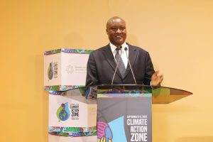 Mama Doing Good CEO calls for Green Growth and Climate Finance in Africa